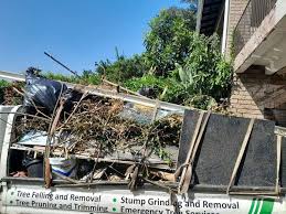 Best Shed Removal in Darmstadt, IN